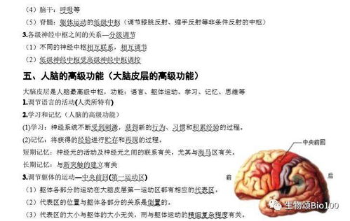 期末沖刺 高中生物必修三基礎(chǔ)知識(shí)點(diǎn)匯總，考前必看