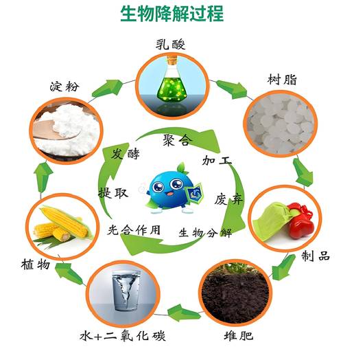 生物基材料&ne;生物降解材料:深入剖析兩大環(huán)保材料的本質(zhì)差異與關(guān)聯(lián)